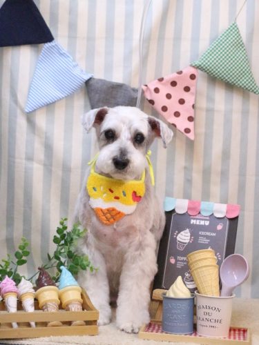 20250510ボルトくん